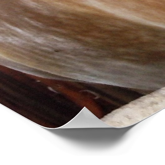 Poster Cheval dans l'étal 1 (Coin)