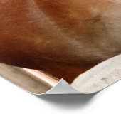 Poster Cheval dans l'étal 3 (Coin)