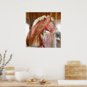 Poster Cheval dans l'étal 3 (Cuisine)