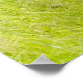 Poster Cheval dans un champ printanier (Coin)