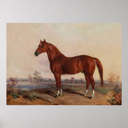 Poster Cheval dans un paysage Art Vintage (Devant)
