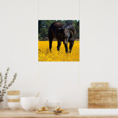 Poster Cheval de baie dans un champ de fleurs jaunes (Cuisine)
