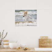 Poster Cheval de Camargue dans le ressac (Cuisine)