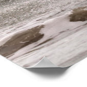 Poster Cheval de Camargue sortant des vagues (Coin)