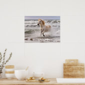 Poster Cheval de Camargue sortant des vagues (Cuisine)