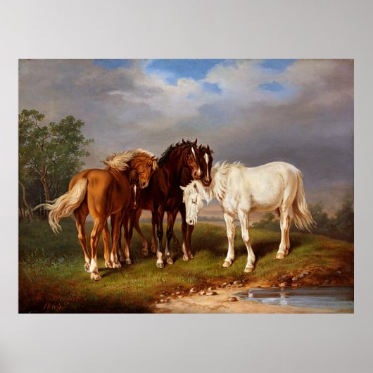 Poster Cheval de Caramel Brown blanc (Devant)