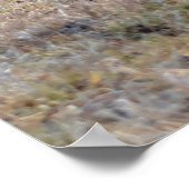 Poster Cheval de châtaignes en marche sur une colline pho (Coin)