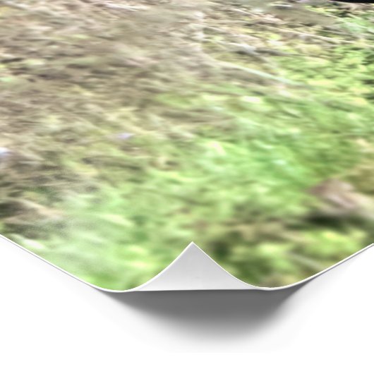 Poster Cheval de châtaignier à galop (Coin)