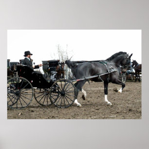 Poster Cheval de conduite vintage