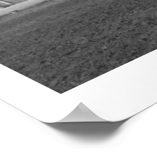 Poster Cheval de course (Coin)