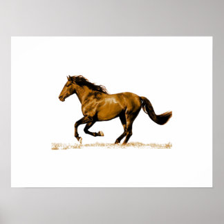 Poster Cheval de course