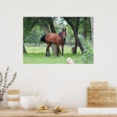 Poster Cheval de course - 0037 (Cuisine)