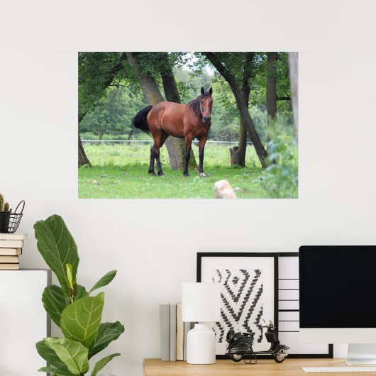 Poster Cheval de course - 0037 (Bureau à domicile)