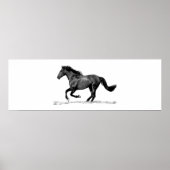 Poster Cheval de course Noir Blanc (Devant)