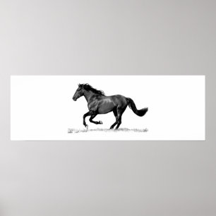Poster Cheval de course Noir Blanc
