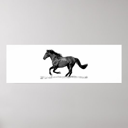 Poster Cheval de course Noir Blanc (Devant)