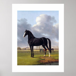 Poster Cheval de course noir vers 1828