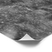 Poster Cheval de course, Pâturage équin B&W Photo (Coin)