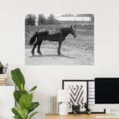 Poster Cheval de guerre à la retraite vers 1916 (Bureau à domicile)