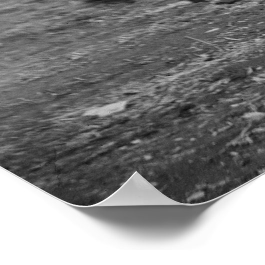 Poster Cheval de guerre civile, 1864 (Coin)