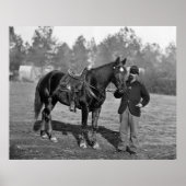 Poster Cheval de guerre civile, 1864 (Devant)