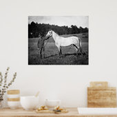 Poster Cheval de guerre civile, années 1860 (Cuisine)