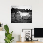 Poster Cheval de guerre civile, années 1860 (Bureau à domicile)