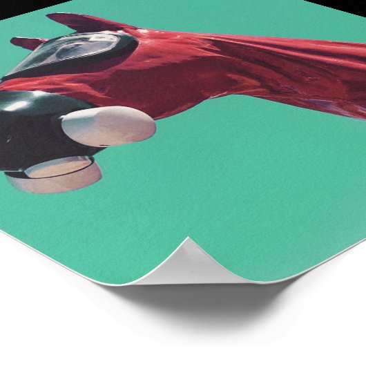 Poster cheval de guerre froide (Coin)