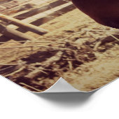 Poster Cheval de la baie (Coin)