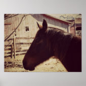 Poster Cheval de la baie (Devant)