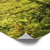 Poster Cheval de la mère et du poulain (Coin)