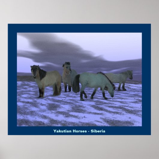 Poster Cheval de l'aube (Devant)