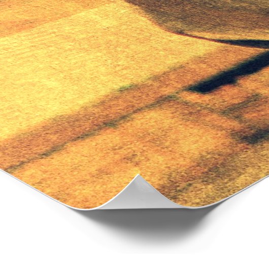 Poster Cheval de l'Ouest (Coin)