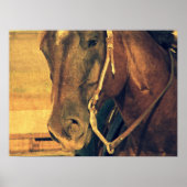 Poster Cheval de l'Ouest (Devant)