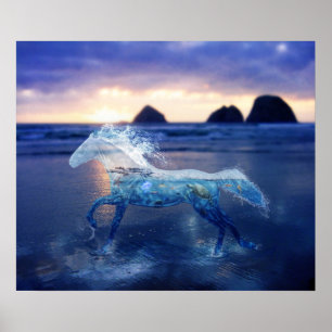 Poster Cheval de mer