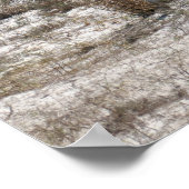 Poster Cheval de mère et de bébé à Assateague (Coin)