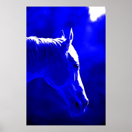 Poster Cheval De Nuit - Cheval De Lune Imprimer (Devant)