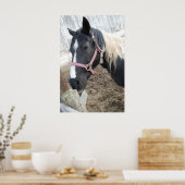 Poster Cheval de peinture (Cuisine)