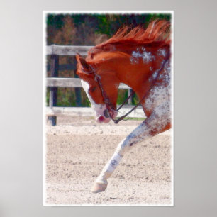 Poster Cheval de peinture