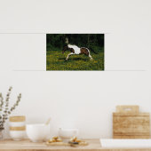 Poster Cheval de peinture courant dans le champ de fleurs (Cuisine)