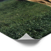 Poster Cheval de peinture debout 2 (Coin)