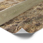 Poster Cheval de peinture en Corral (Coin)
