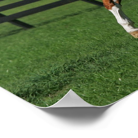 Poster Cheval de peinture en marche 1 (Coin)