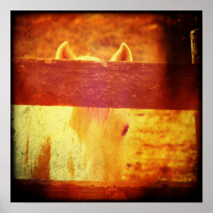 Poster Cheval de Pékin