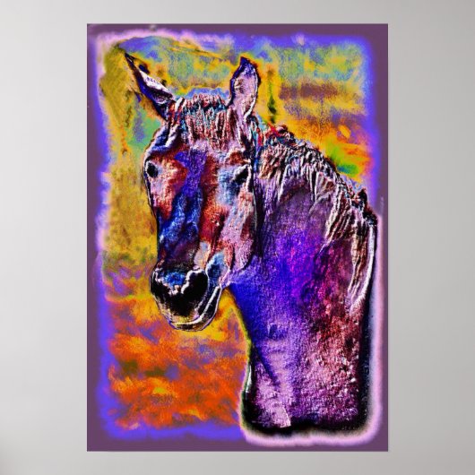 Poster Cheval de plusieurs couleurs (Devant)