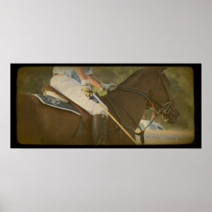 Poster Cheval de polo