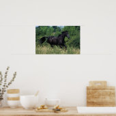 Poster Cheval de race Thoroughbred coule dans l'herbe (Cuisine)