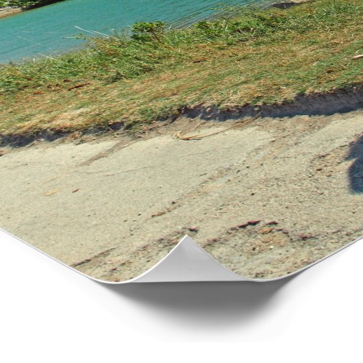 Poster Cheval de Sicile (Coin)