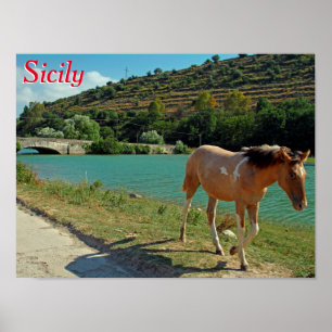 Poster Cheval de Sicile