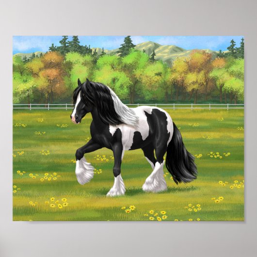 Poster Cheval de trait Gypsy Vanner Piebalde Pinto Noir (Devant)